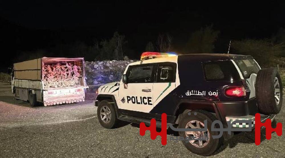 القوة الخاصة لأمن الطرق بمنطقة مكة تضبط مخالفًا لنظام البيئة