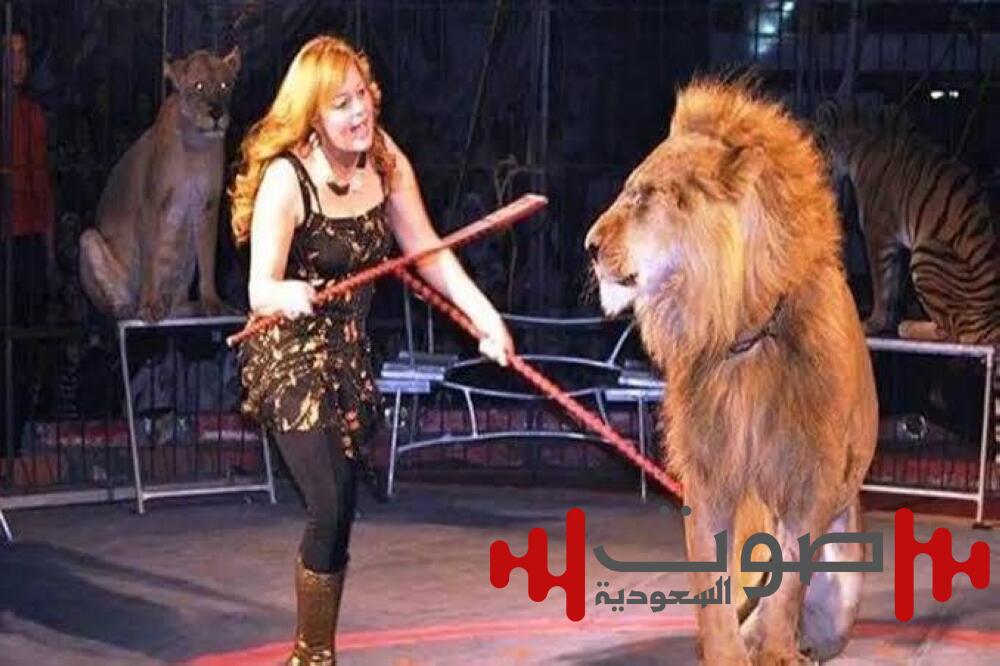 مصر: أزمة «سيرك طنطا» تصل البرلمان.. وتحرك نيابي لحظر استخدام الحيوانات المفترسة