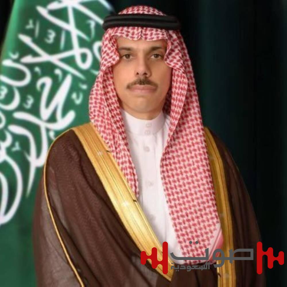 وزير الخارجية يصل إلى جوهانسبرغ للمشاركة في اجتماعات G20