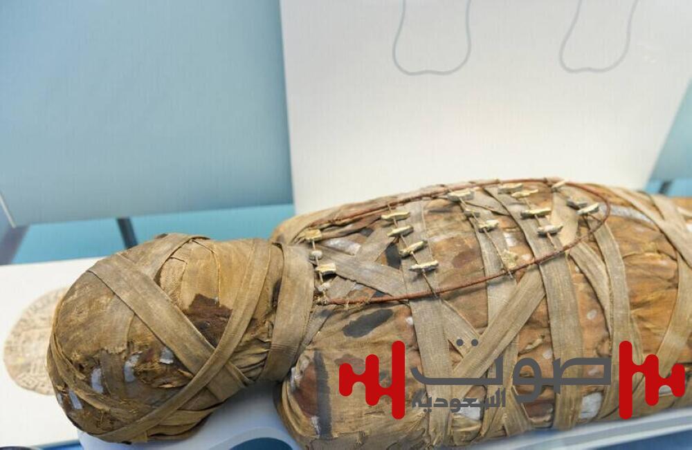 فك لغز مومياء «السيدة الغامضة» !