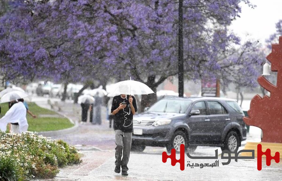 الأرصاد ينبه من هطول أمطار غزيرة على منطقة عسير