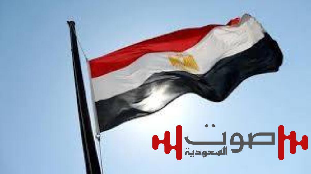 مصر: تمويلات ميسرة مع أوروبا لدعم استيراد القمح