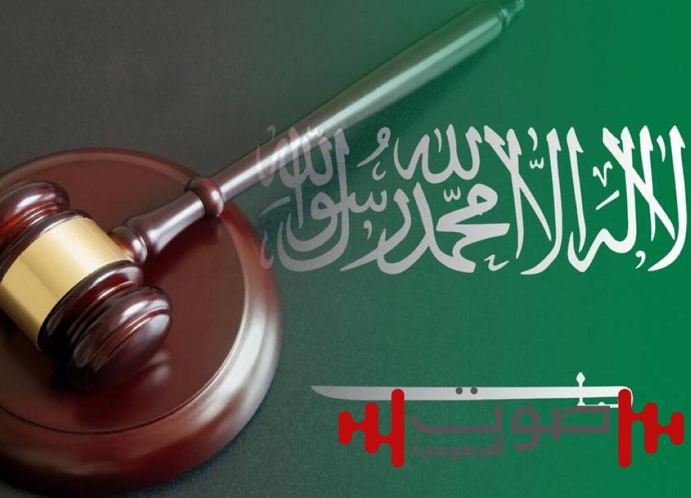 قضاء مؤسسي.. شفاف وناجز