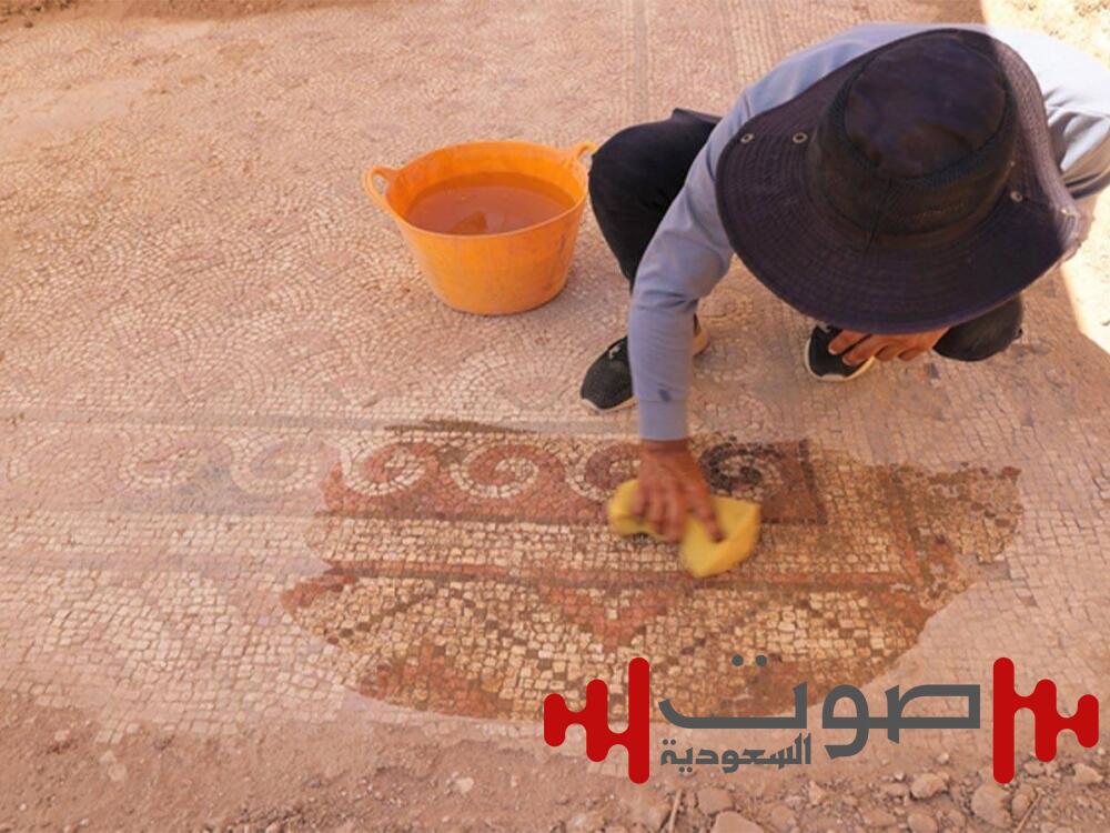 اكتشاف فسيفساء تعود إلى 1500 عام في ولاية ماردين التركية