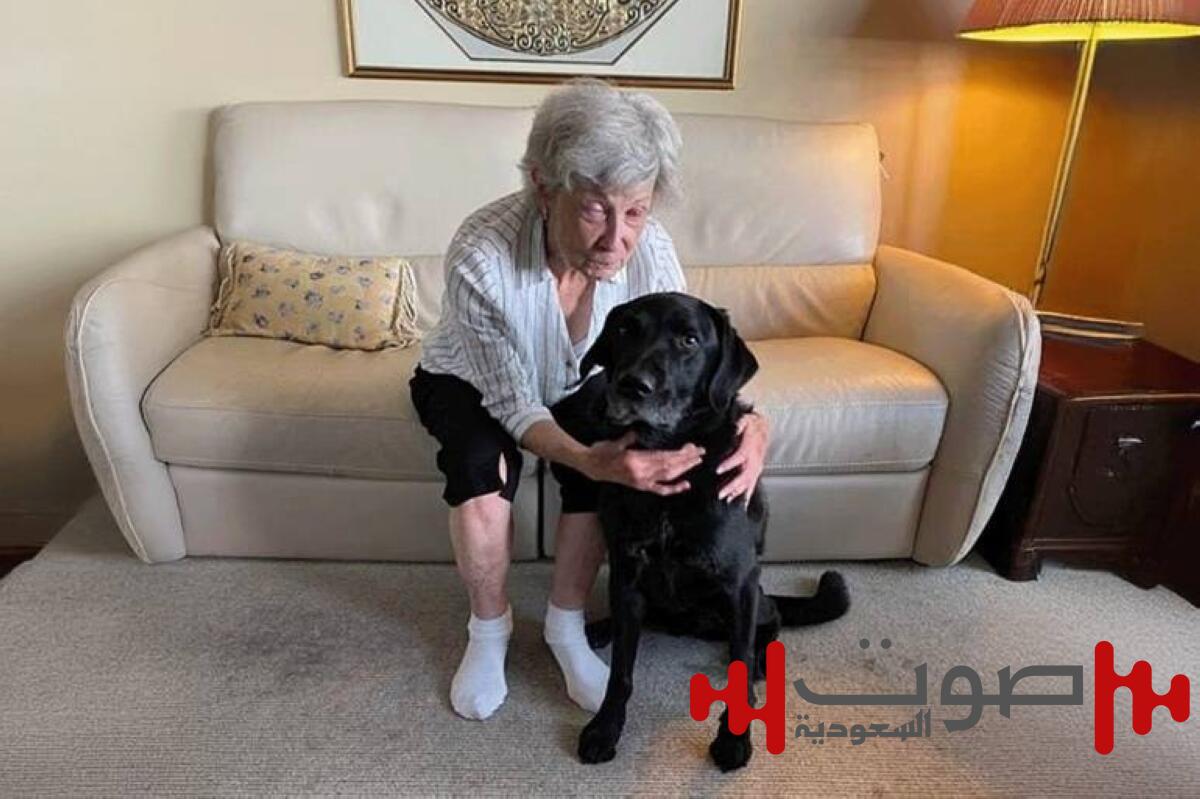 في جراحة نادرة.. امرأة تستعيد بصرها بعد 10 سنوات باستخدام أسنانها