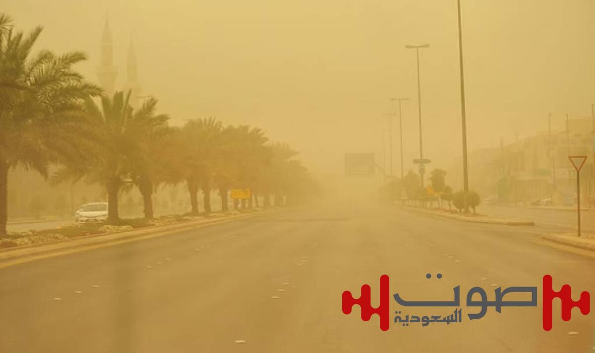 «الأرصاد» تُنبه: رياح نشطة وأتربة مثارة على منطقة الباحة