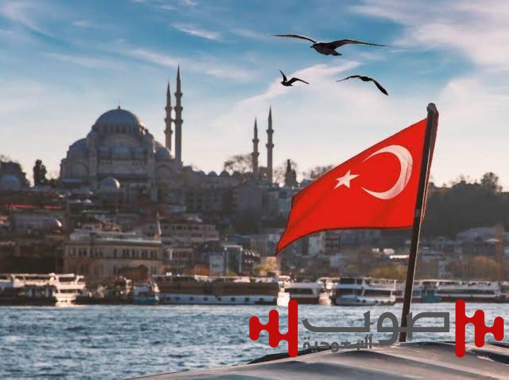 إسطنبول: شاحنة بلا سائق تدمر 23 سيارة.. ولا إصابات