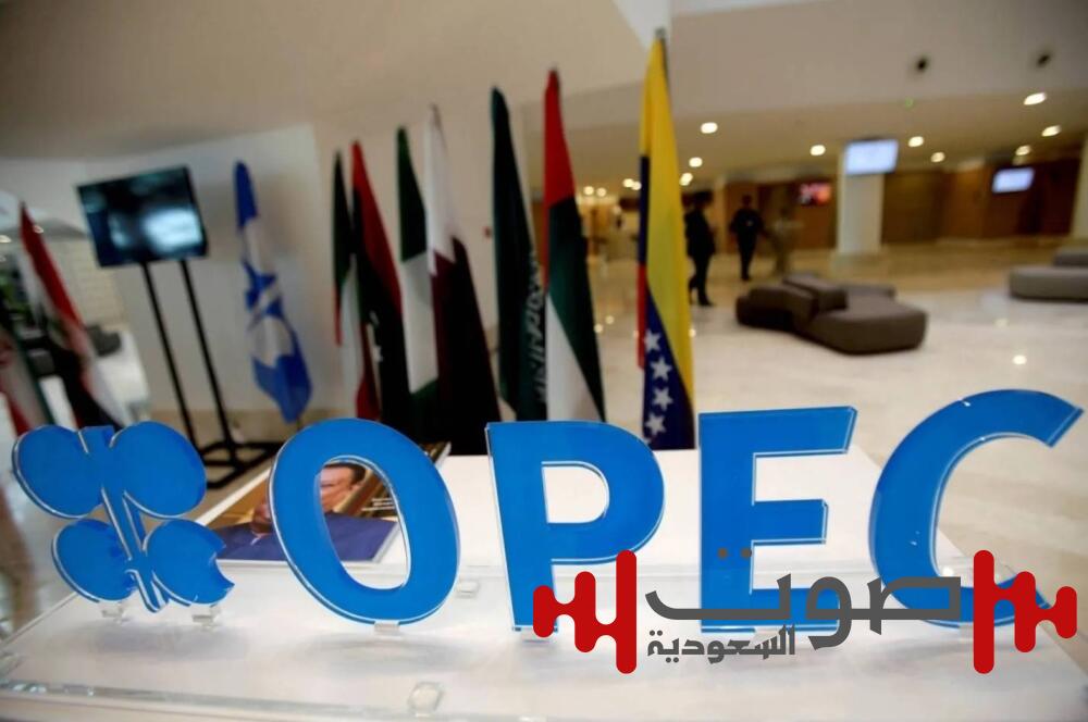 السعودية و7 دول نفطية يؤكدون التزامهم باستقرار السوق البترولية