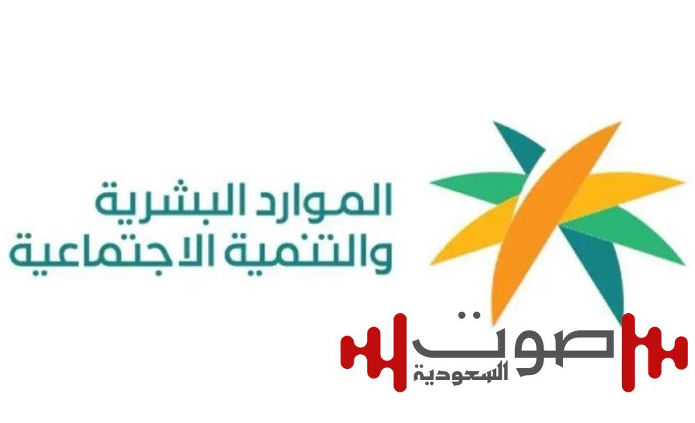وزارة الموارد البشرية تضبط 9 شركات استقدام