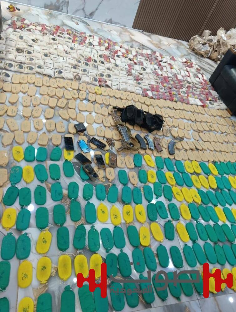 و«السوري» يسيطر على معاقل المخربين في درعا