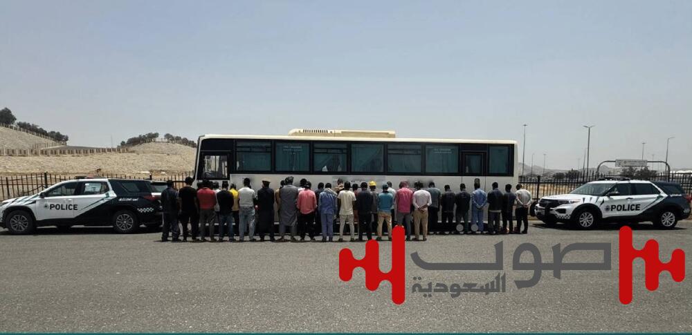 «أمن الحج»: ضبط مقيم حاول إيصال 35 مخالفاً لأنظمة الحج إلى مكة
