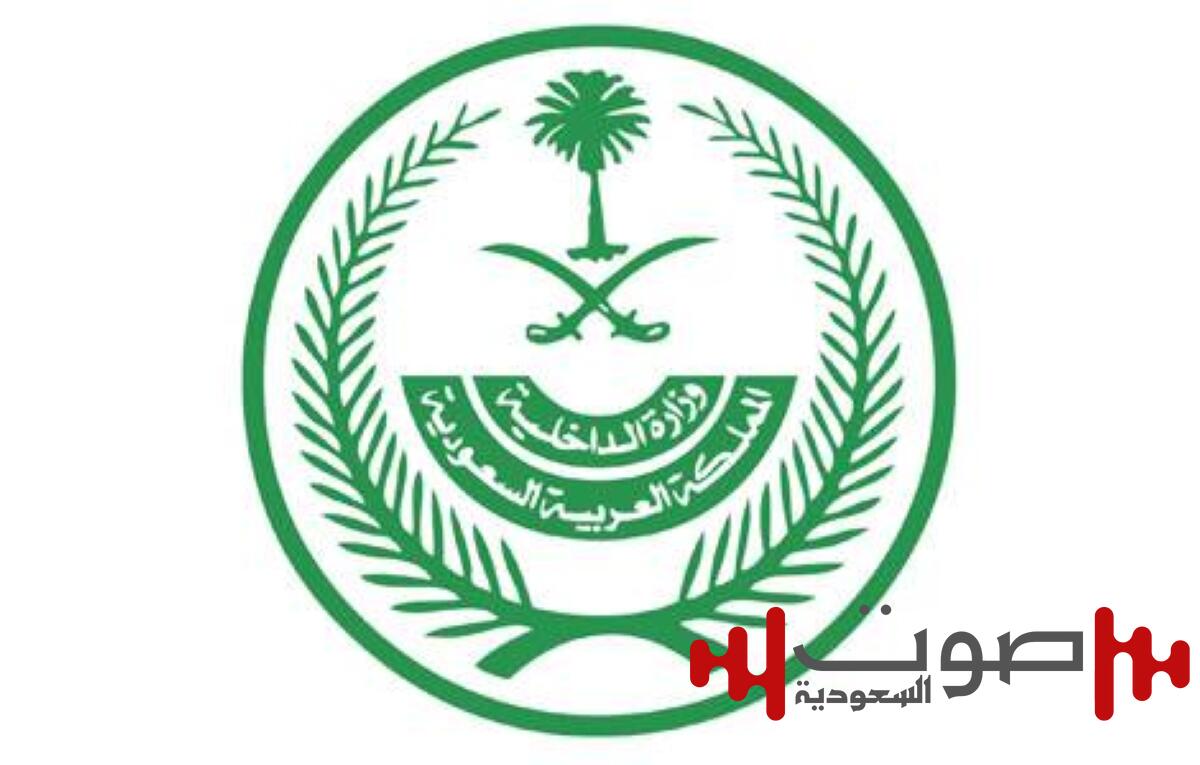 القتل تعزيراً لجانيين لتهريبهما الحشيش المخدر إلى المملكة