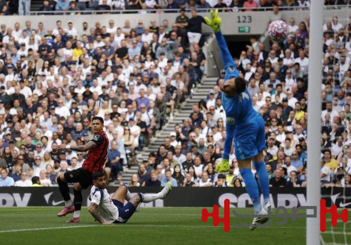 بورنموث يحرم توتنهام من صدارة الدوري الإنجليزي