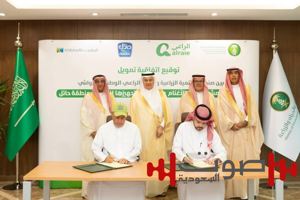 «نادك» تقود استثمارات إستراتيجية في قطاع اللحوم الحمراء عبر مشروع ضخم لتربية الأغنام بحائل