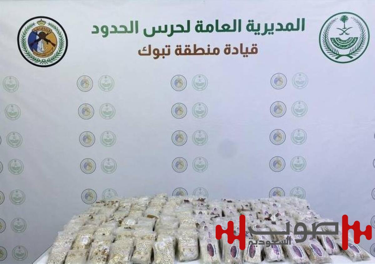 تبوك: إحباط تهريب 230,000 قرص «أمفيتامين»