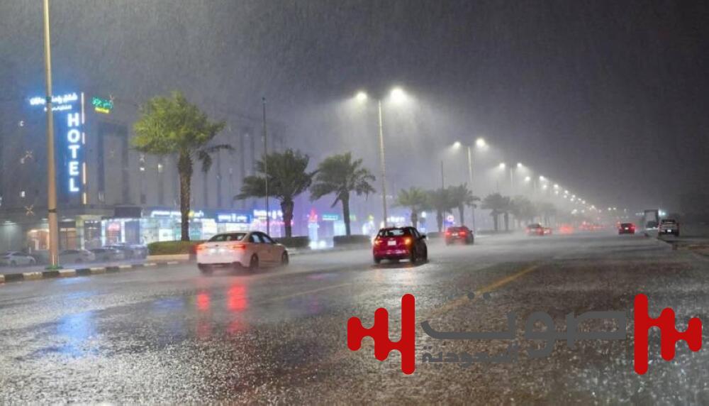 «البيئة»: وادي الدواسر يسجّل أعلى كمية هطول أمطار بـ 31.0 ملم