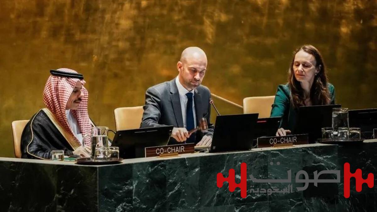 الخارجية الصينية: حل الدولتين المخرج الوحيد لتسوية قضية فلسطين