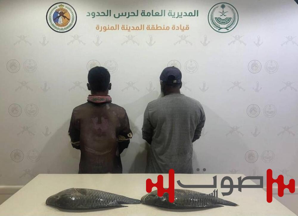 «حرس الحدود» بالمدينة يضبط مقيمين مخالفين لممارستهما الصيد دون تصريح