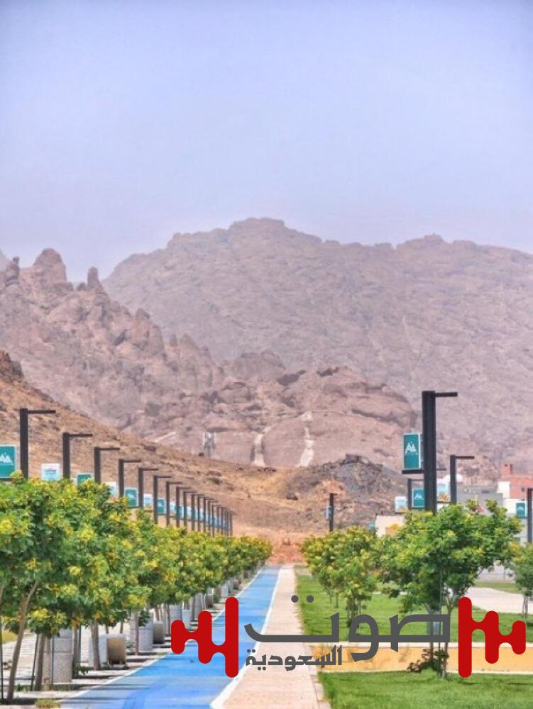 حدائق بين الجبال.. حين تتحوّل الجغرافيا إلى لغة تتكلّمها حائل