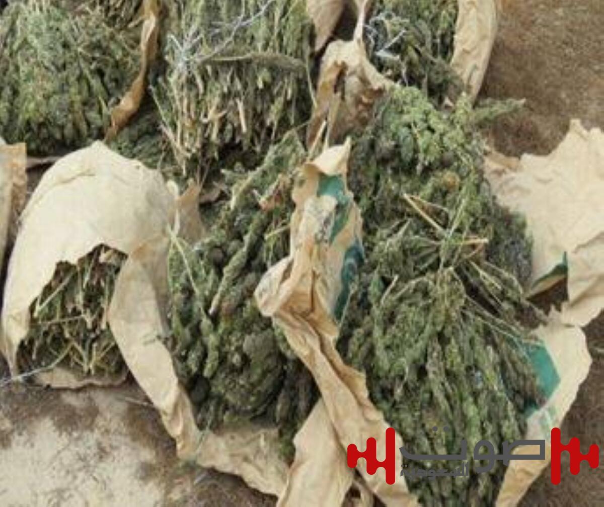 مصر: ضبط 55 طن مخدرات بـ 1,600,000,000 جنيه في الإسماعيلية