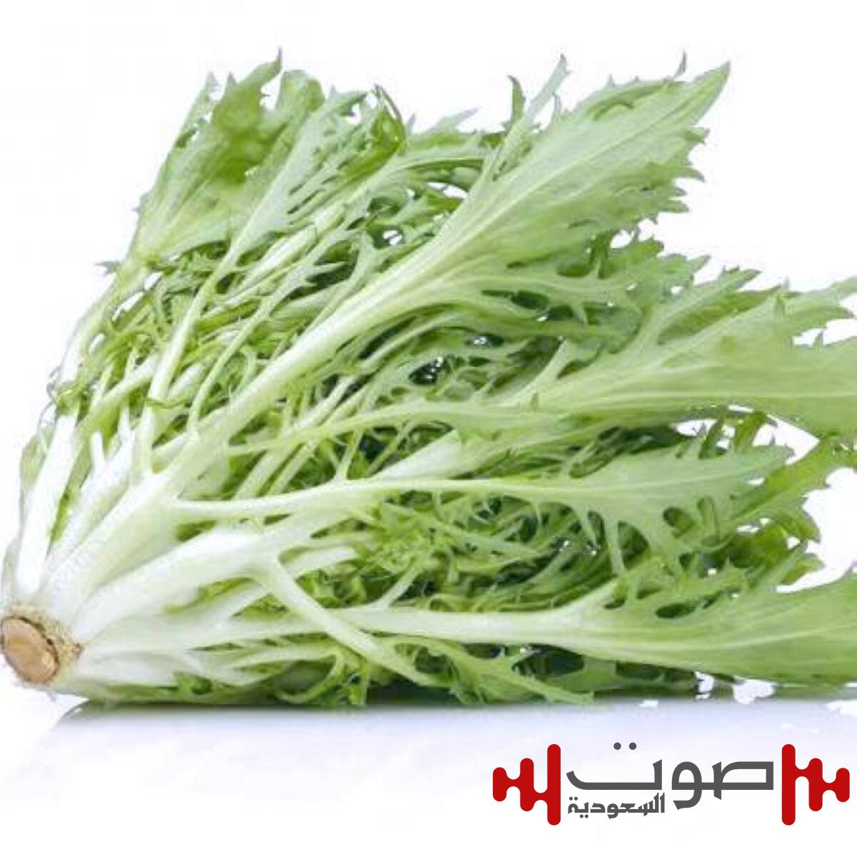 مستخلص مادة نباتية يحارب السرطان