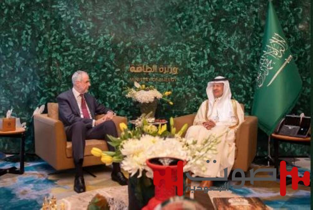 وزير الطاقة يناقش التعاون المناخي مع رئيس «COP30»