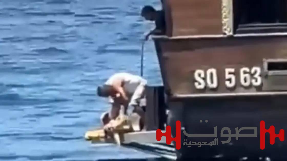 غضب في تونس بعد ذبح سلحفاة مهددة بالانقراض.. والسلطات تتدخل