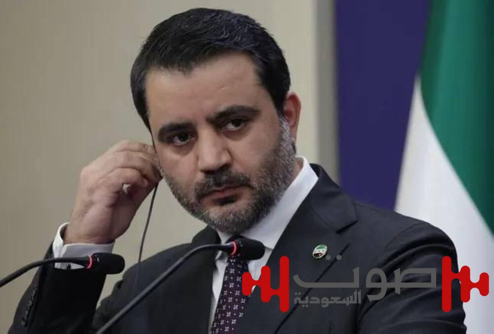 وزير الخارجية السوري: الحكومة الضامن الوحيد لأمن واستقرار بلادنا