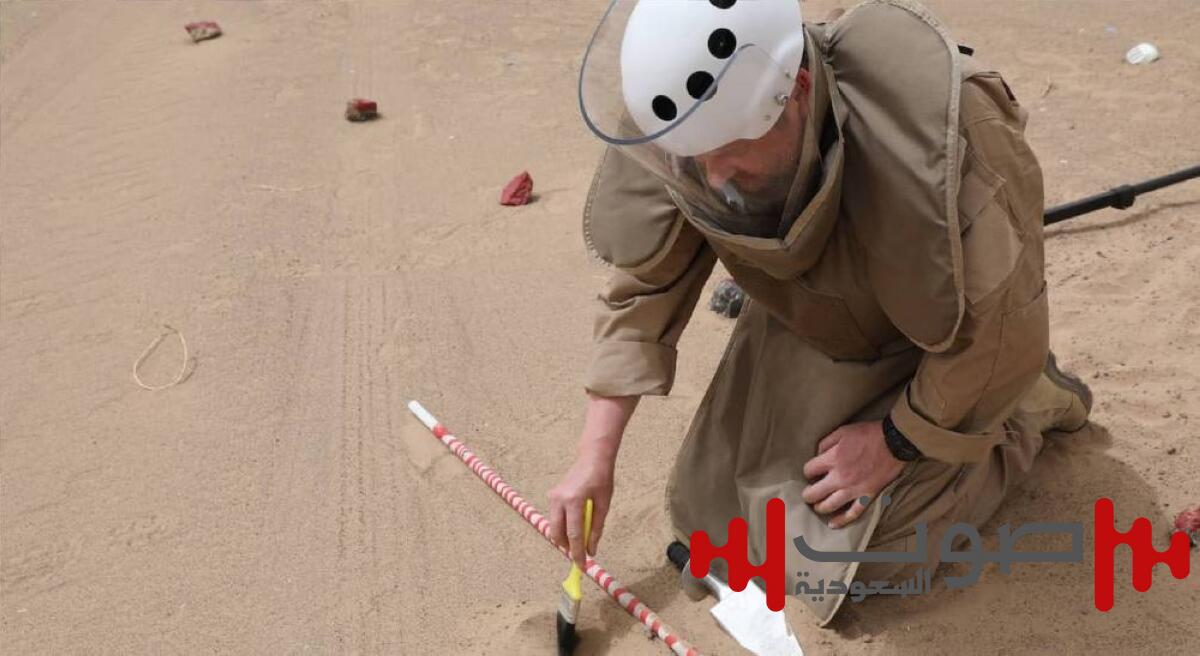 طهَّر سواحل ومحافظات محررة.. «مسام» ينتزع 915 لغماً في أسبوع