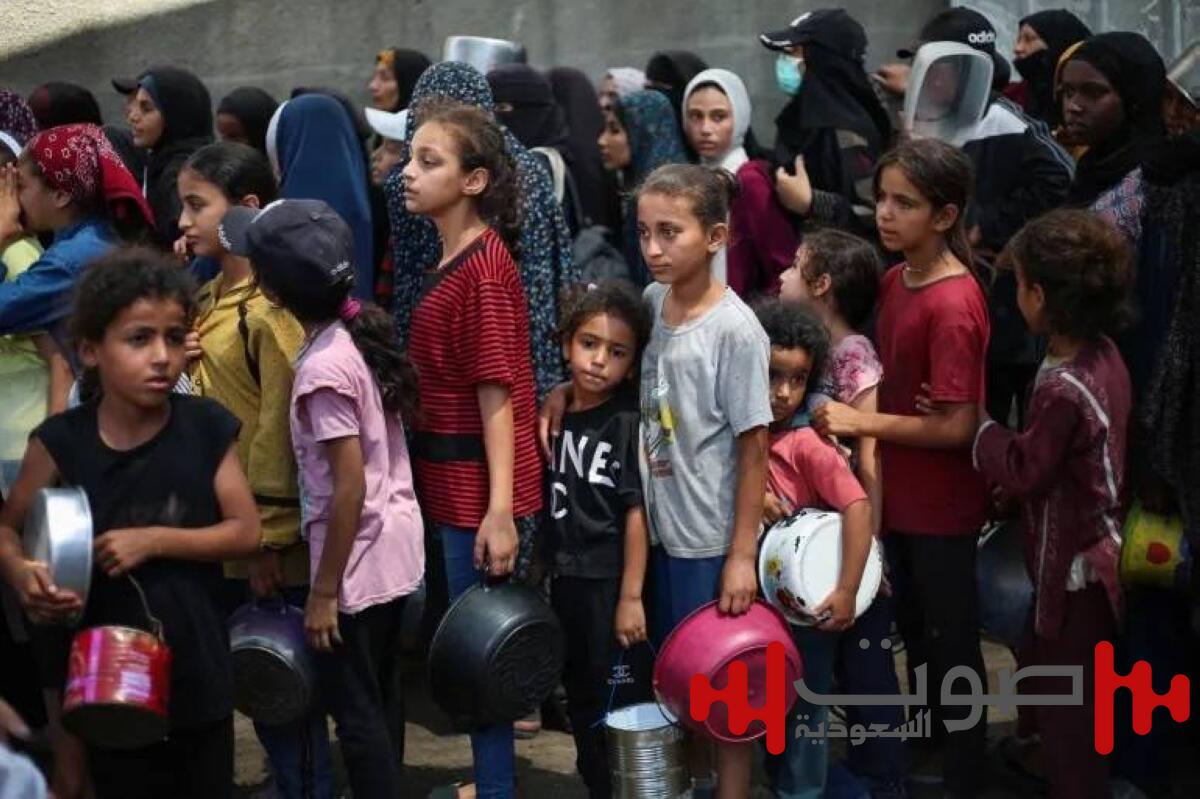 ويتكوف يسلم «حماس» مقترحات جديدة.. وسكان غزة يرفضون أوامر الإخلاء