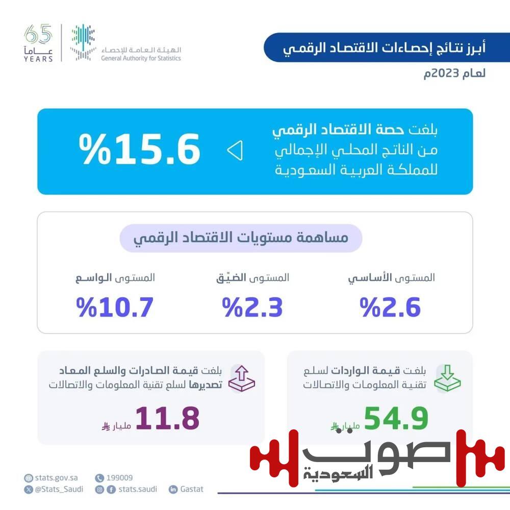 «هيئة الإحصاء»: ارتفاع حصة الاقتصاد الرقمي 15.6% من الناتج المحلي