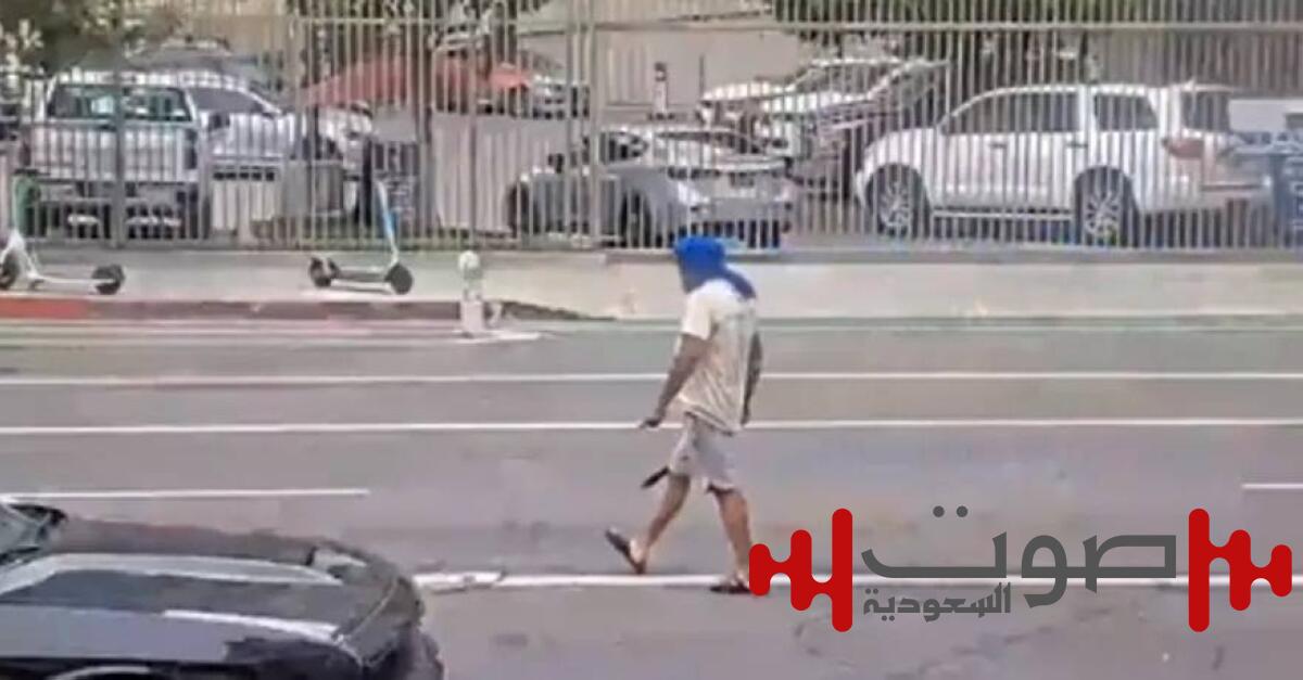هندي يهاجم المارّة بـ«ساطور» في لوس أنجلوس