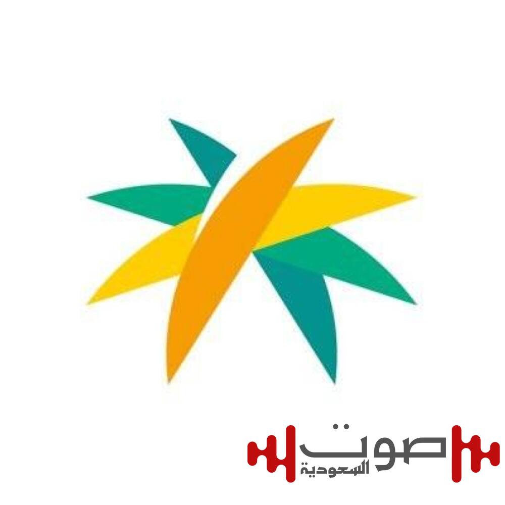 «الموارد» لـ«منشآت الـ50 عاملاً»: افصحوا عن بياناتكم التدريبية