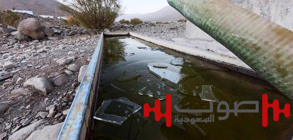 الصقيع يجمد المياه في الأماكن المفتوحة بتبوك