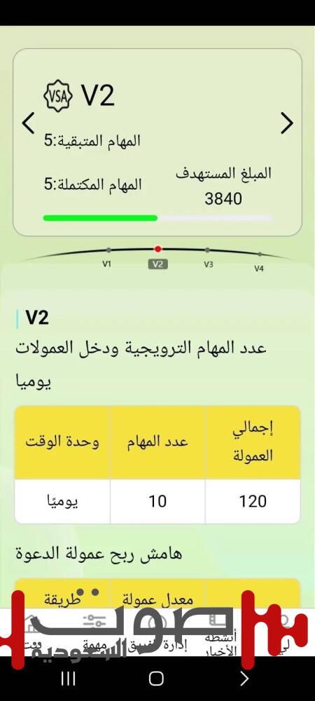 كيف خدعت «VSA» آلاف الضحايا في مصر؟