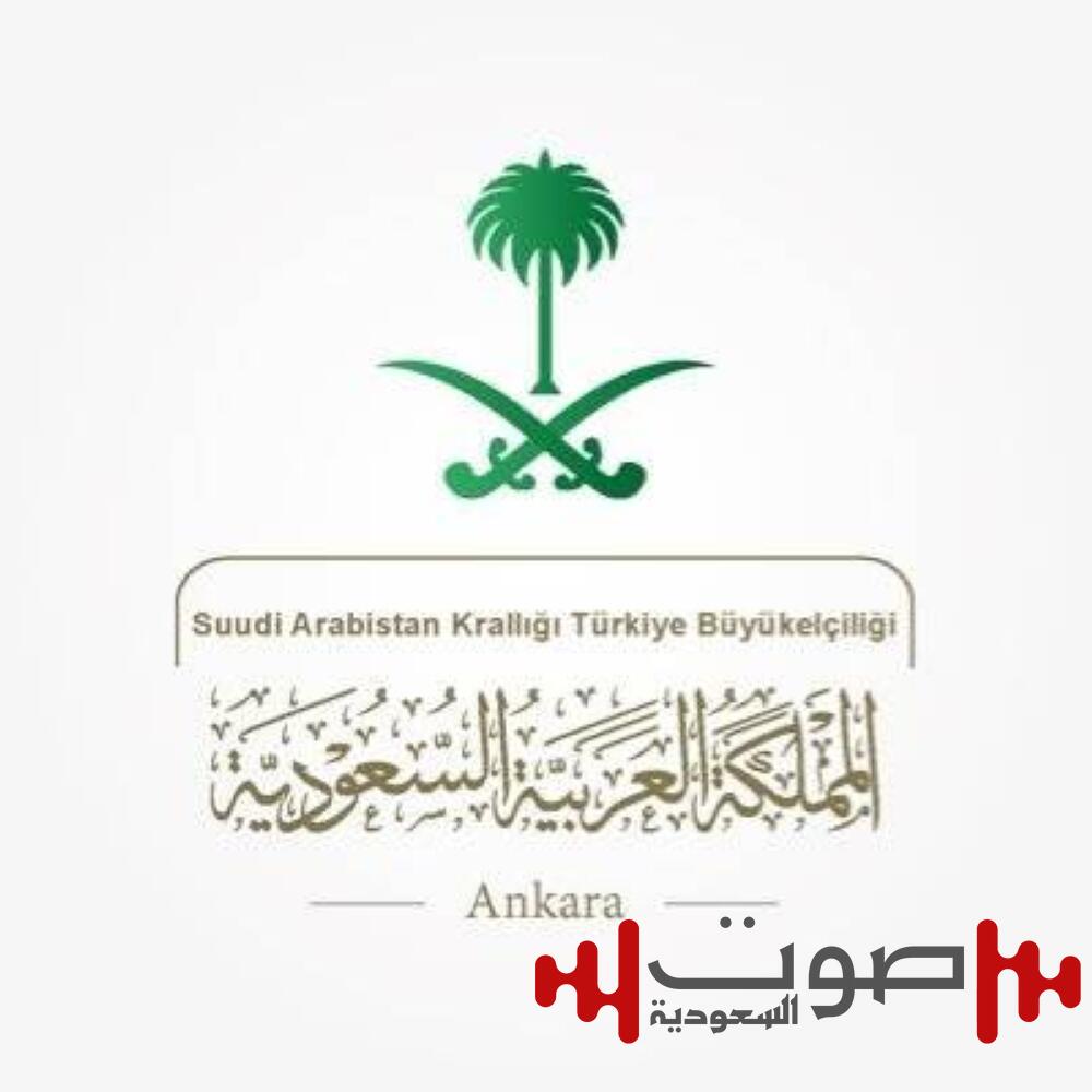 السفارة في تركيا: ننسق مع ذوي الطفل فيصل والسلطات التركية لإكمال الإجراءات