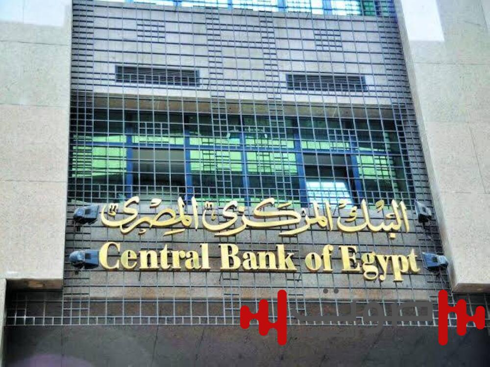 مصر تسدد 10 مليارات دولار لصندوق النقد الدولي وتعزز استقرارها الاقتصادي