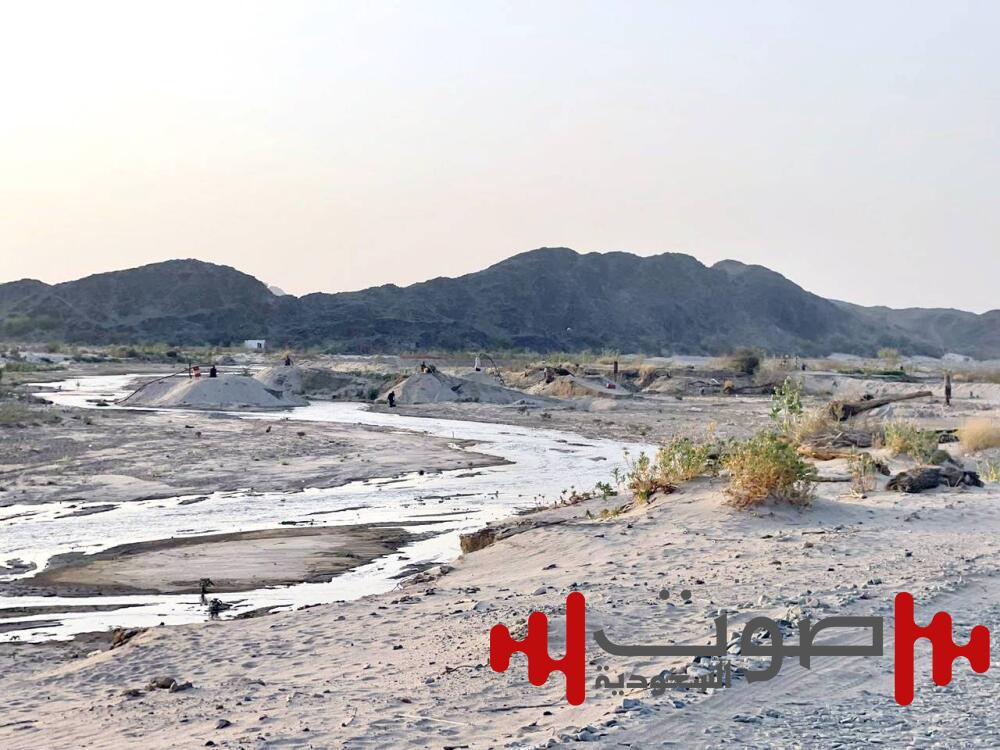 مزارعو بيشة لـ«عكاظ»: مياه السد تُهدر ومزارعنا جافة !