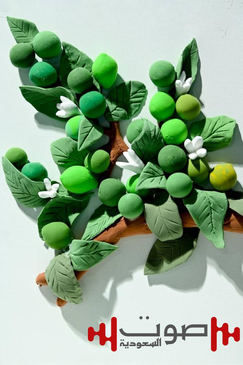 «اللومي الحساوي 2025».. واحة ابتكار وزراعة أصيلة