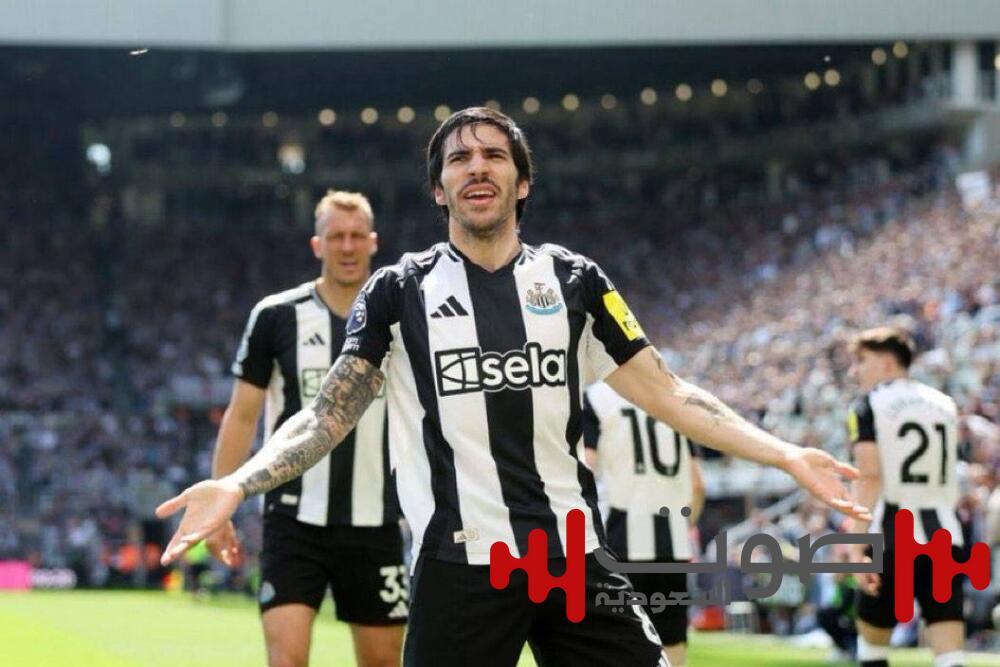 مجدداً.. نيوكاسل إلى دوري أبطال أوروبا