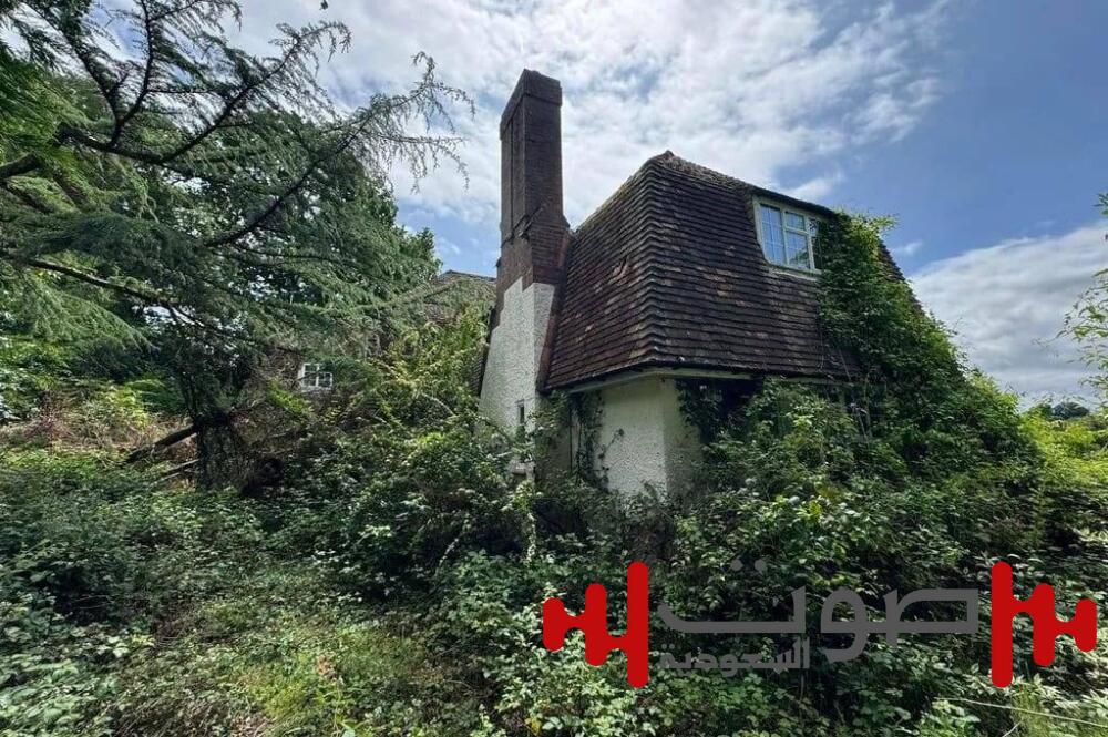 قصر مهجور في لندن يكشف عن كنوز منسية.. ما قصته؟