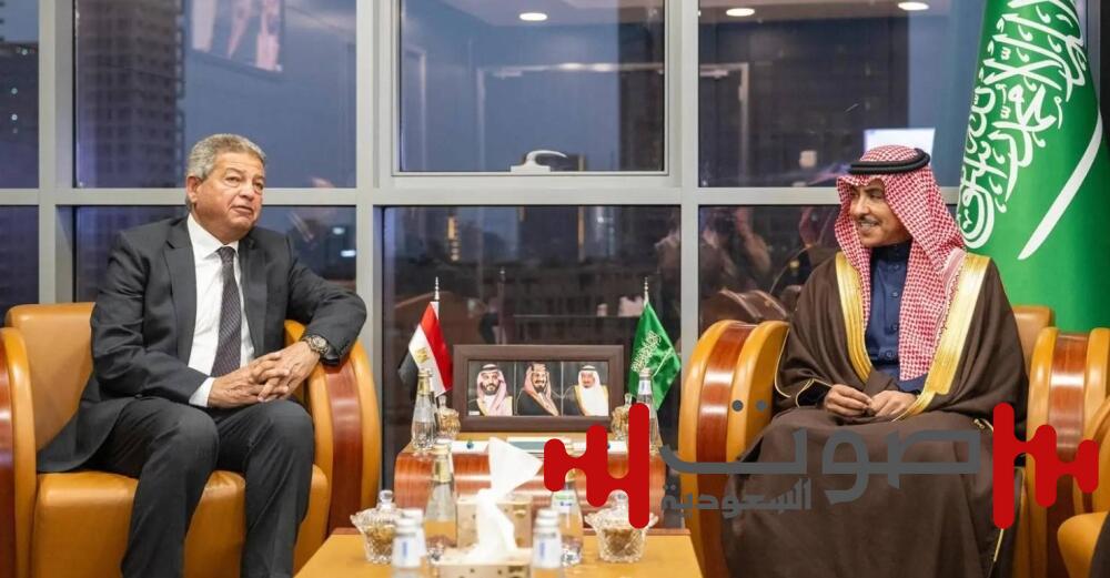 وزير الإعلام يستقبل رئيس المجلس الأعلى لتنظيم الإعلام المصري