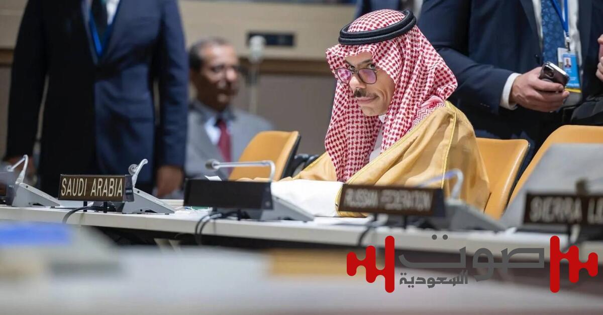 وزير الخارجية يشارك في اجتماع ترويكا القمة العربية مع نظيره الكوري