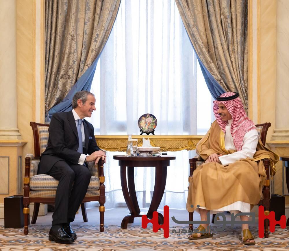 وزير الخارجية يستقبل مدير الوكالة الدولية للطاقة الذرية