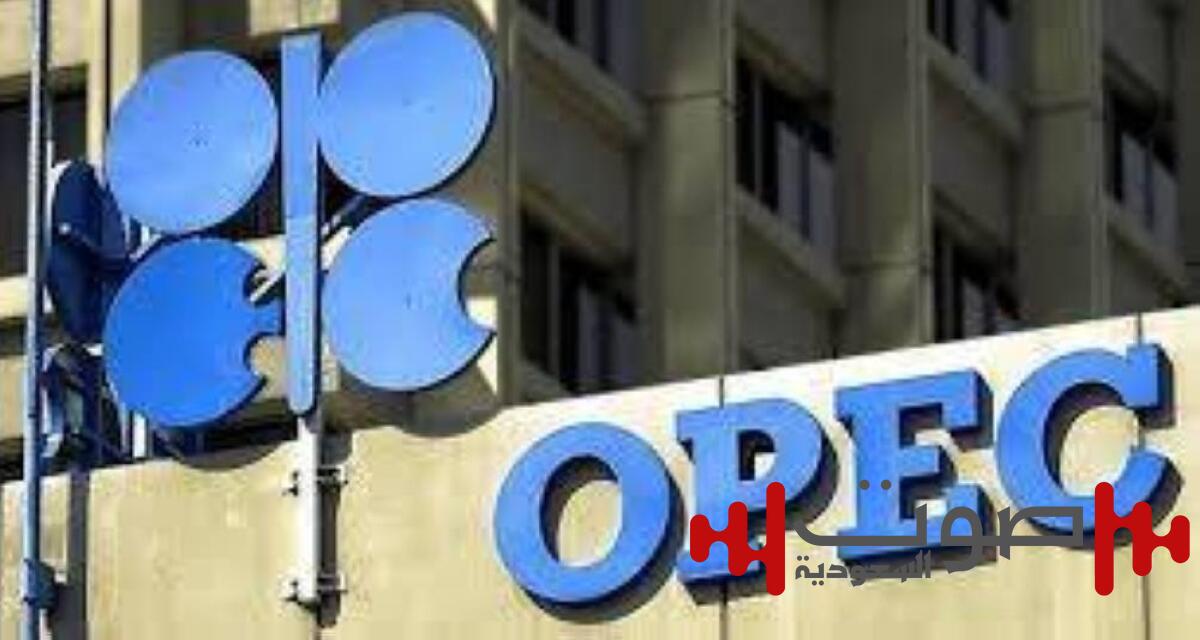 «أوبك+»: زيادة إنتاج النفط بمقدار 137000 برميل يومياً