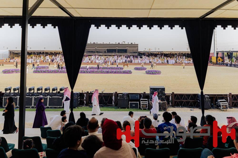 عبدالله بن فهد: السعودية مهد الفروسية وليست مجرد محطة إقليمية
