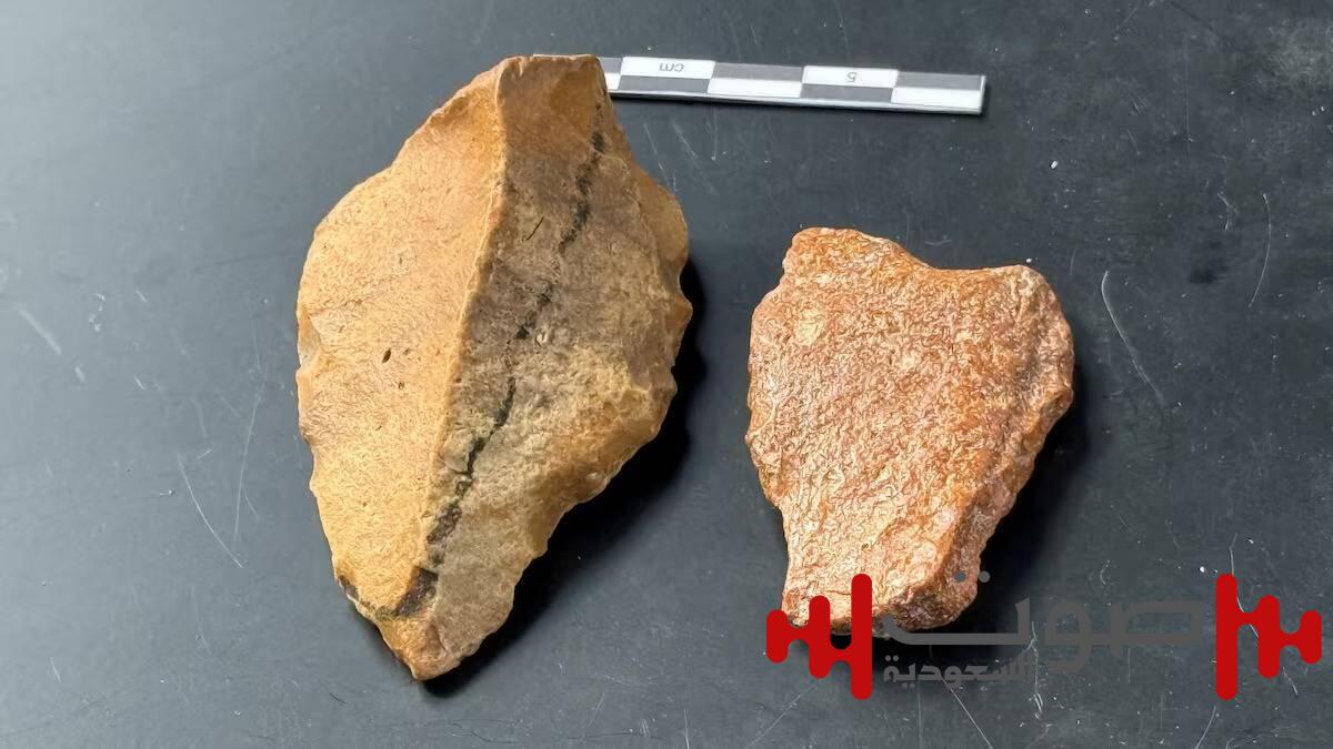 اكتشاف أدوات حجرية في إندونيسيا يعيد كتابة تاريخ البشرية