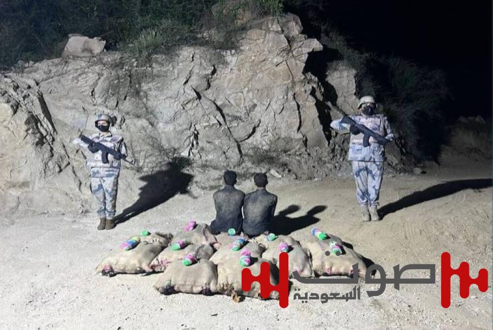 إحباط تهريب 240 كيلوغراماً من نبات القات في جازان