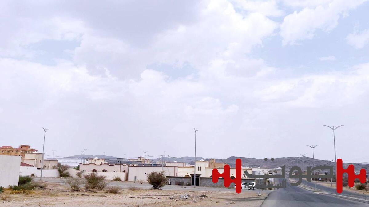 «عبلاء بيشة».. برج صامت وخدمات غائبة