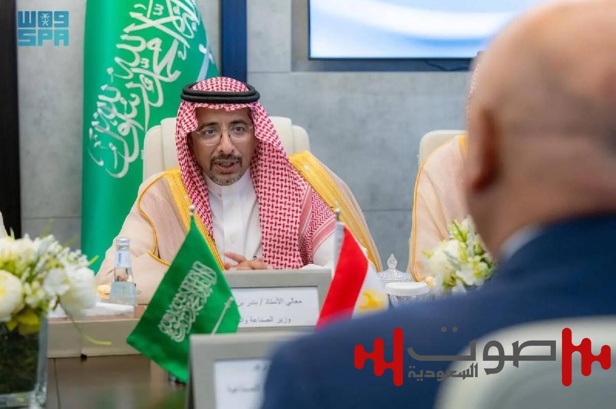 الخريف يبحث تعزيز التكامل الصناعي مع جمهورية مصر